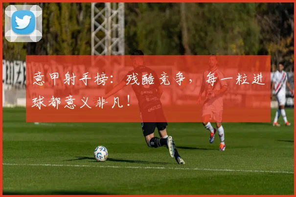 意甲射手榜:残酷竞争,每一粒进球都意义非凡!