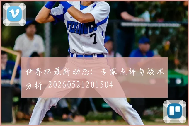 世界杯最新动态:专家点评与战术分析_20260521201504