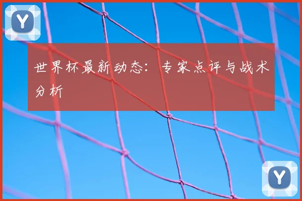 世界杯最新动态:专家点评与战术分析